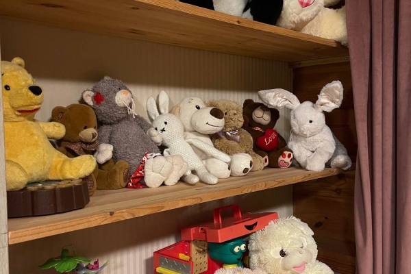 В детской комнате как для девочек, так и для мальчиков есть разнообразные игрушки и игры.
Все для рисования - для творческих натур.
Настольные игры на разный возраст. Пазлы.
Большая библиотека детской литературы от 0 до +16.